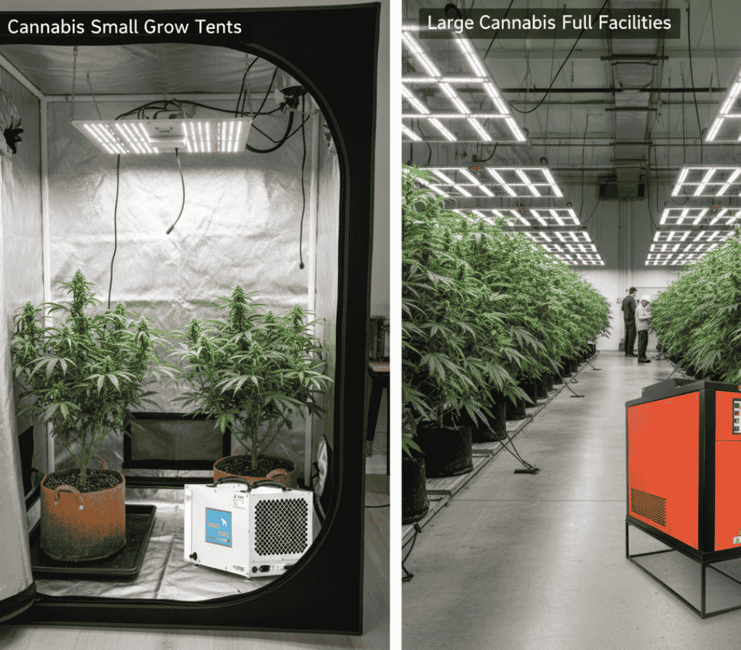 Sm vs Large Grow Room Dehumidifiers by Pure n Natural