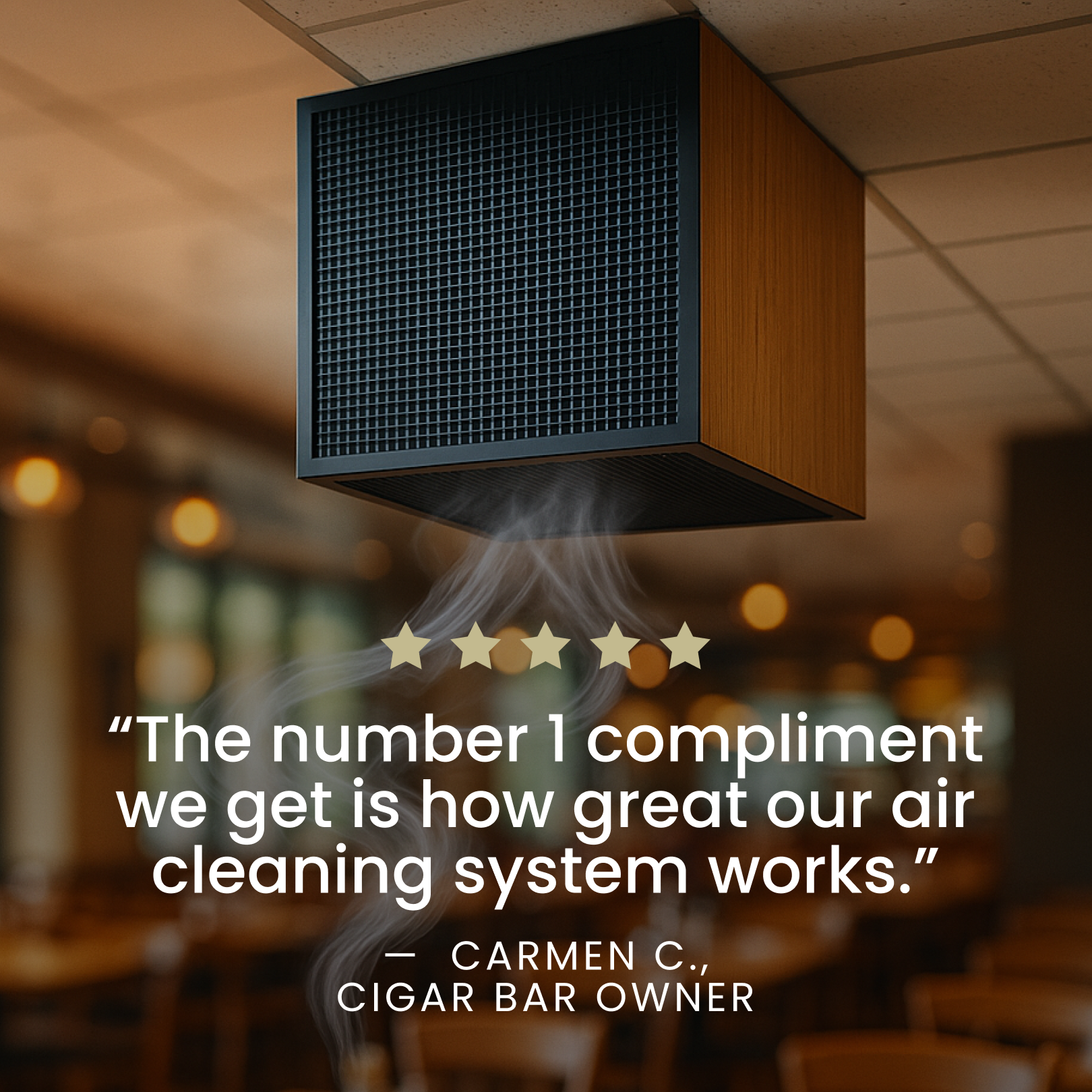 Clear the Air and Boost Your Business: A Guide to the Mark Series Smoke Eaters