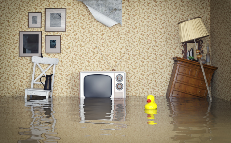 6 Steps To Take When Your House Floods